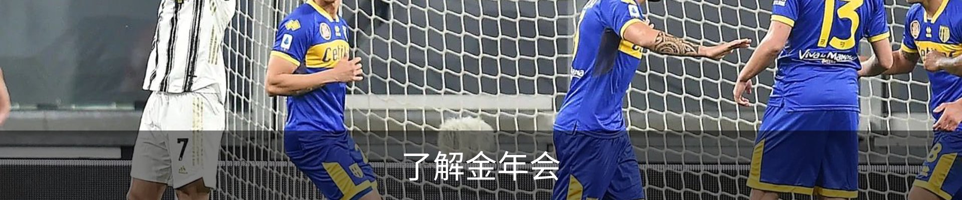 了解金年会
